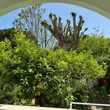Villa Striano Boutique Capri Exterior photo